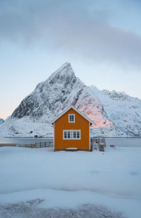 The Famous Yellow House